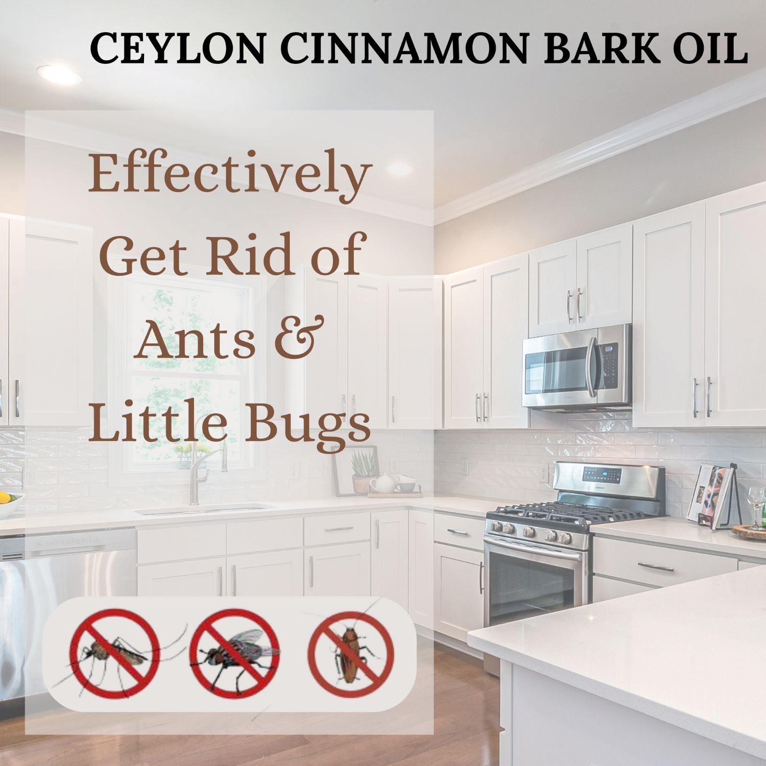 Pure Ceylon Cinnamon Bark Essential Oil, GI Certified G2/76/340, 100% Ceylon True Cinnamon Extract Oil, Undiluted Therapeutic Grade for Diffuser, Food Grade, 10ml (0.34oz)