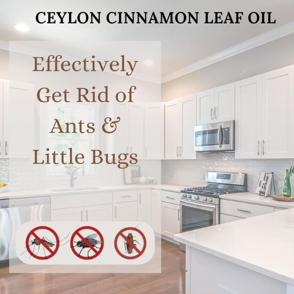 Ceylon Cinnamon Leaf Essential Oil, 100% Pure Natural Oil, Undiluted, Therapeutic Grade Base Oil 10ml/0.34oz.